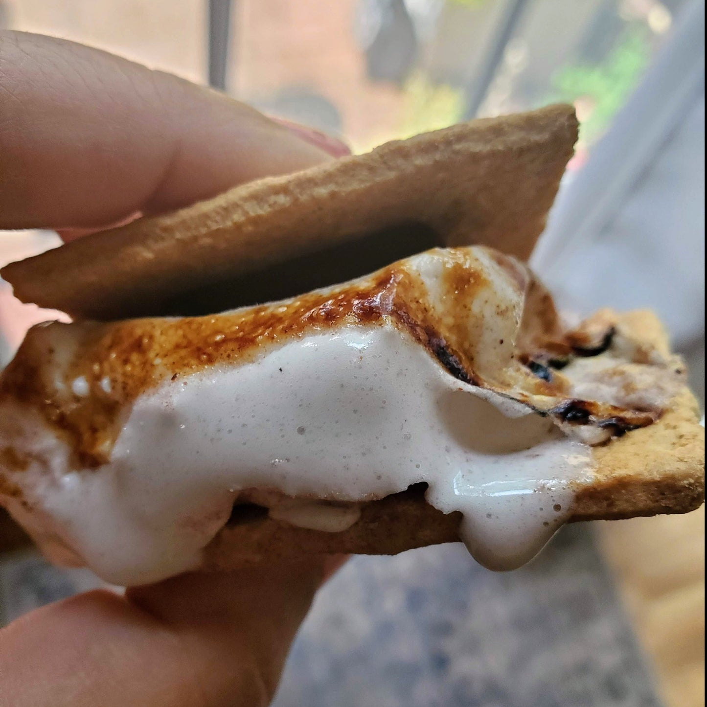close up of melted raspberry marshmallow s'more